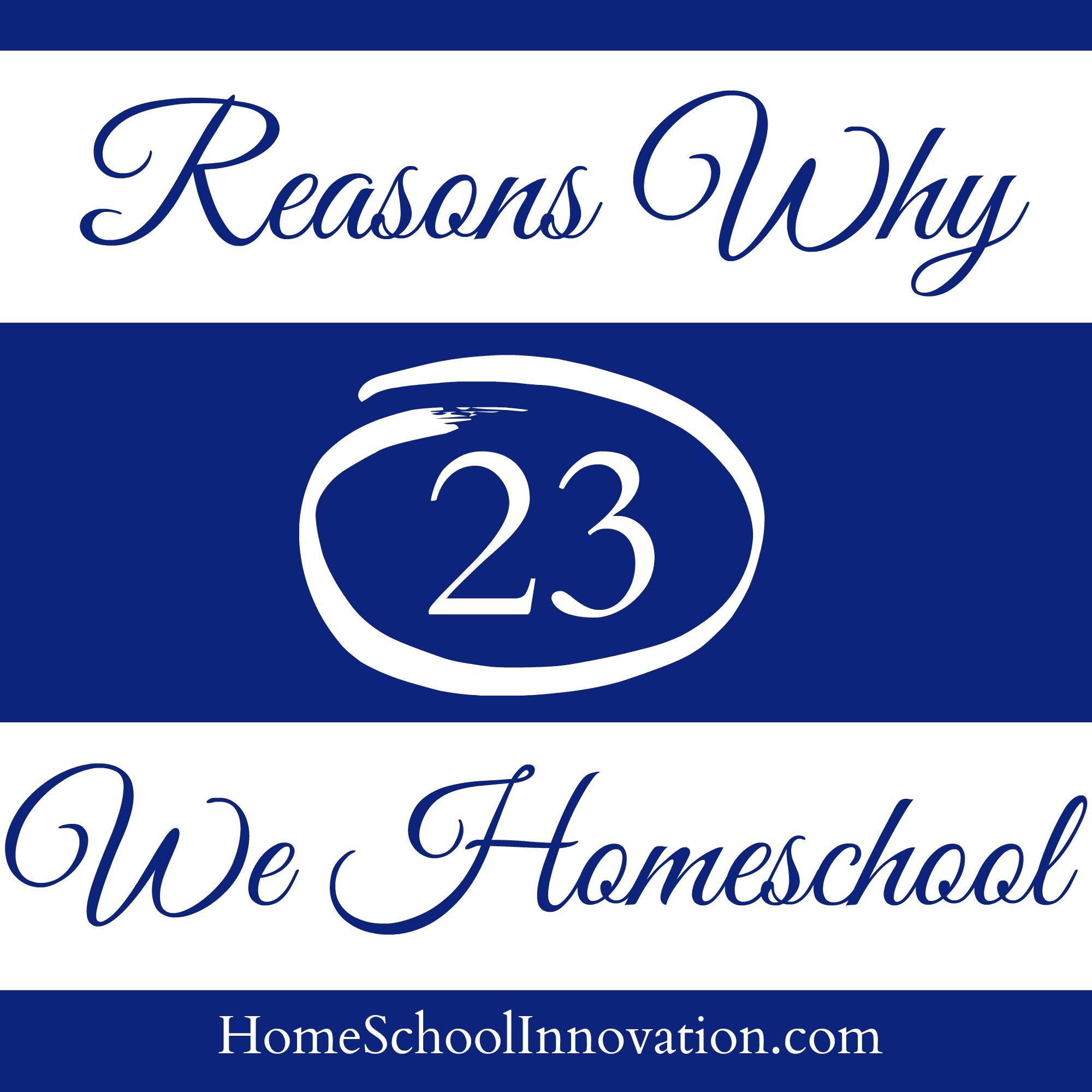 23 Reasons Why We HomeSchool