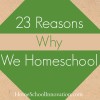 Reasons to Homeschool