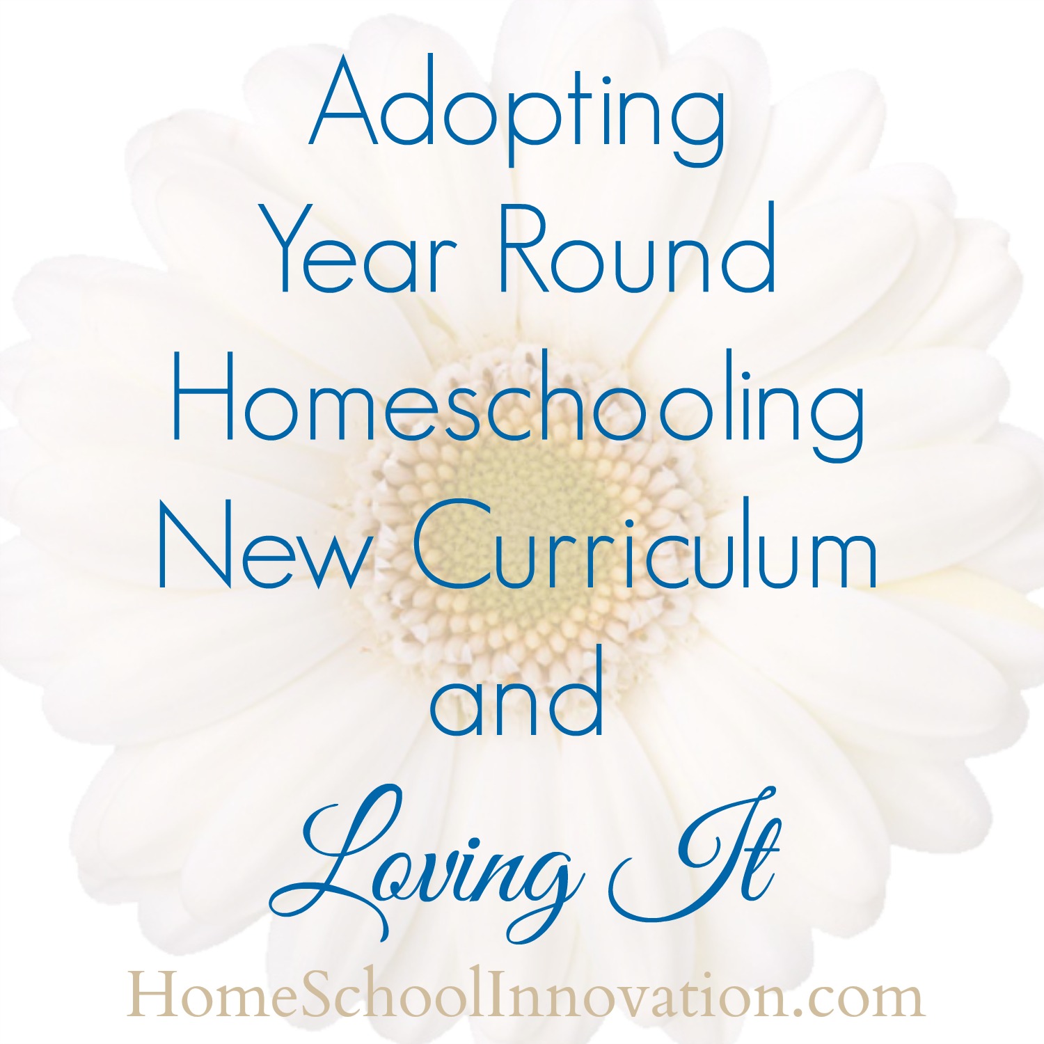 Adopting Year Round Homeschooling, New Curriculum and Loving It